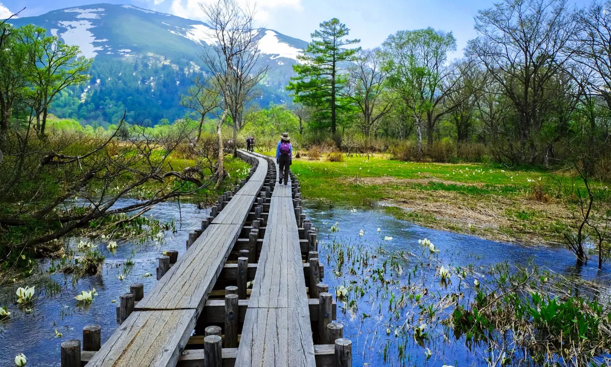 Oze-national-park