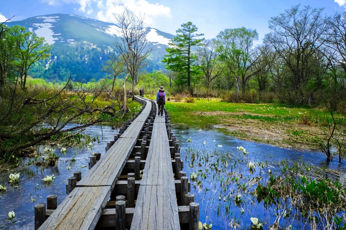 Oze-national-park