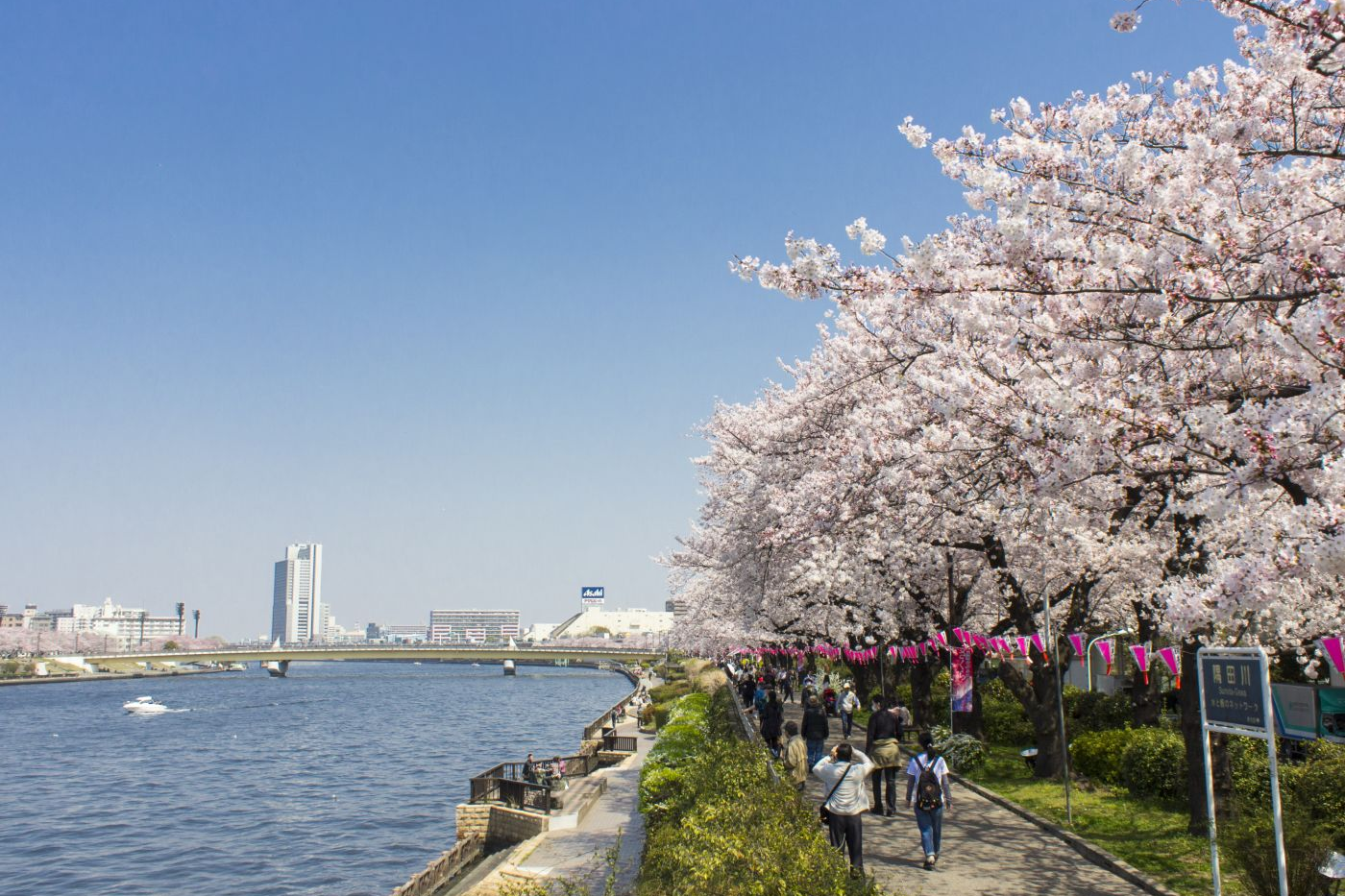 Sumida Park and Asakusa