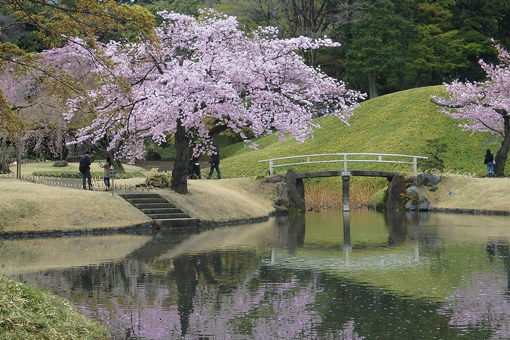 Koishikawa Korakuen Garden