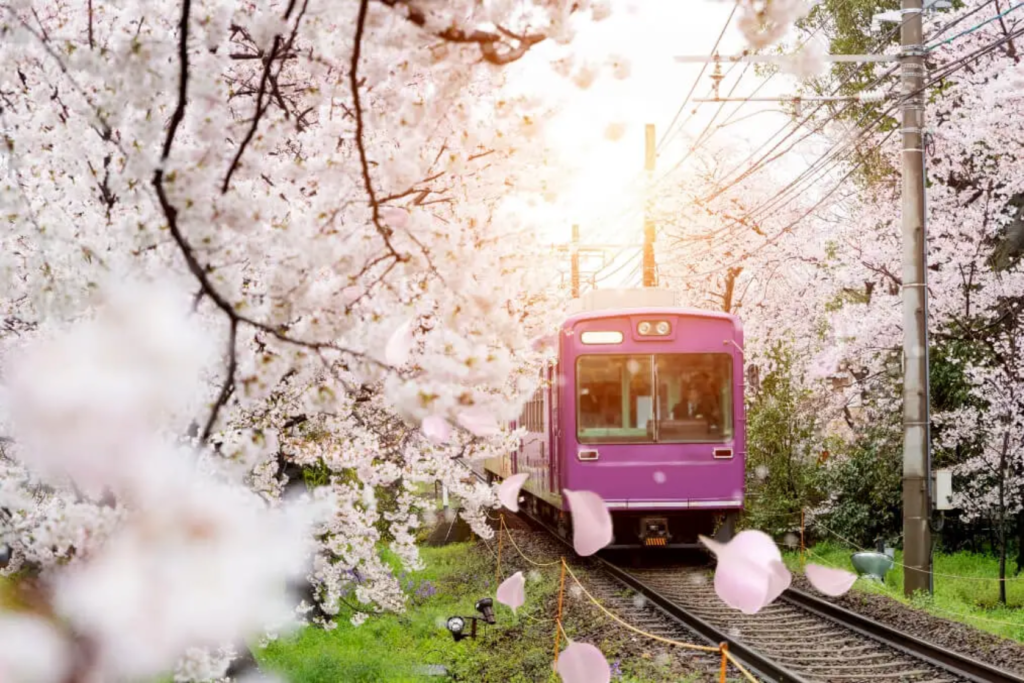 spring Japan Rail