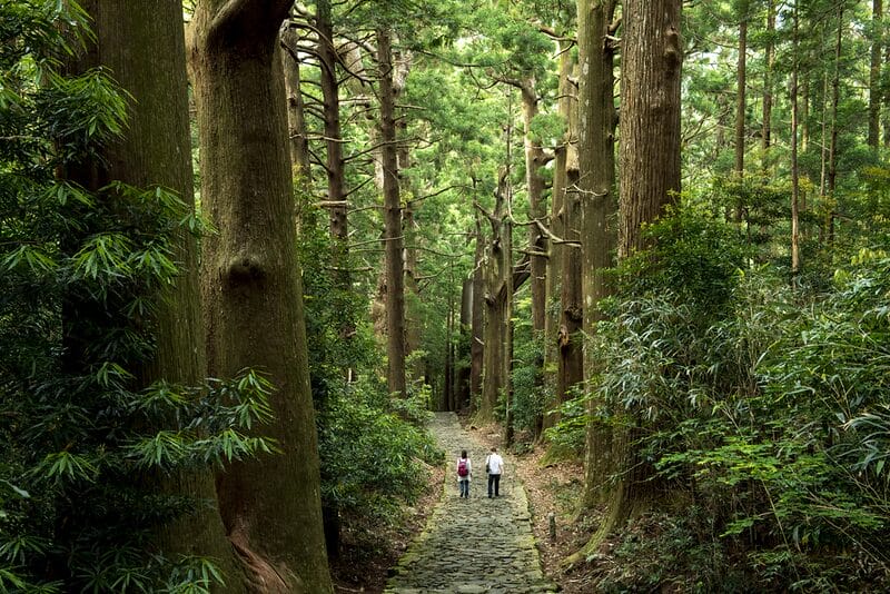 kumano kodo trail