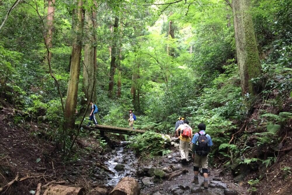 hiking mt takao
