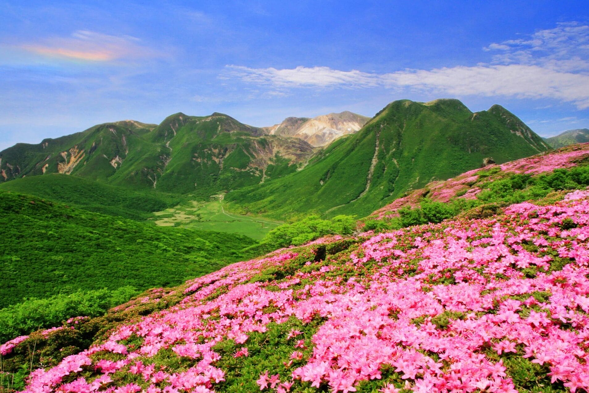 hiking in japan in spring