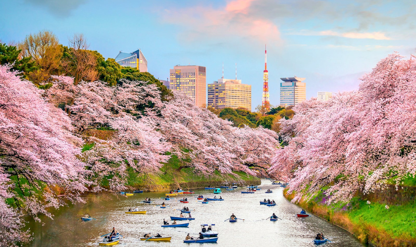 thời tiết Tokyo mùa xuân